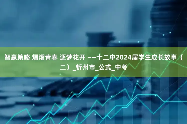 智赢策略 熠熠青春 逐梦花开 ——十二中2024届学生成长故事（二）_忻州市_公式_中考