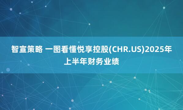 智宣策略 一图看懂悦享控股(CHR.US)2025年上半年财务业绩