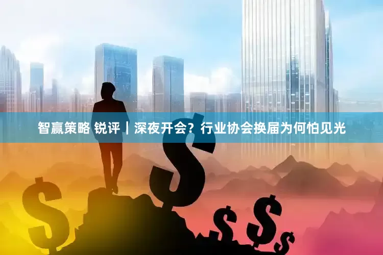 智赢策略 锐评｜深夜开会？行业协会换届为何怕见光