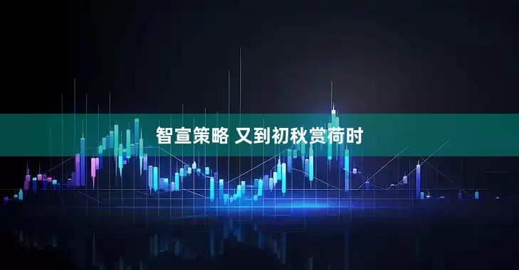 智宣策略 又到初秋赏荷时