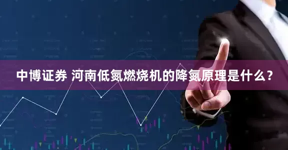 中博证券 河南低氮燃烧机的降氮原理是什么？