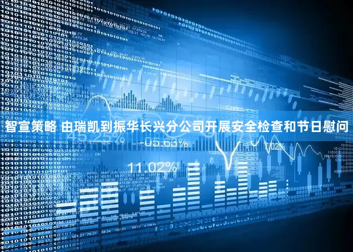 智宣策略 由瑞凯到振华长兴分公司开展安全检查和节日慰问