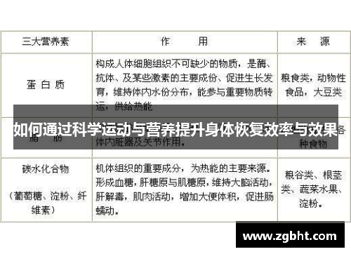 如何通过科学运动与营养提升身体恢复效率与效果